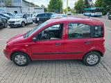 Fiat Panda 1.2 8V Dynamic * Kein Tüv *  Alu * - gebrauchte Fiat Panda aus dem Jahr 2008