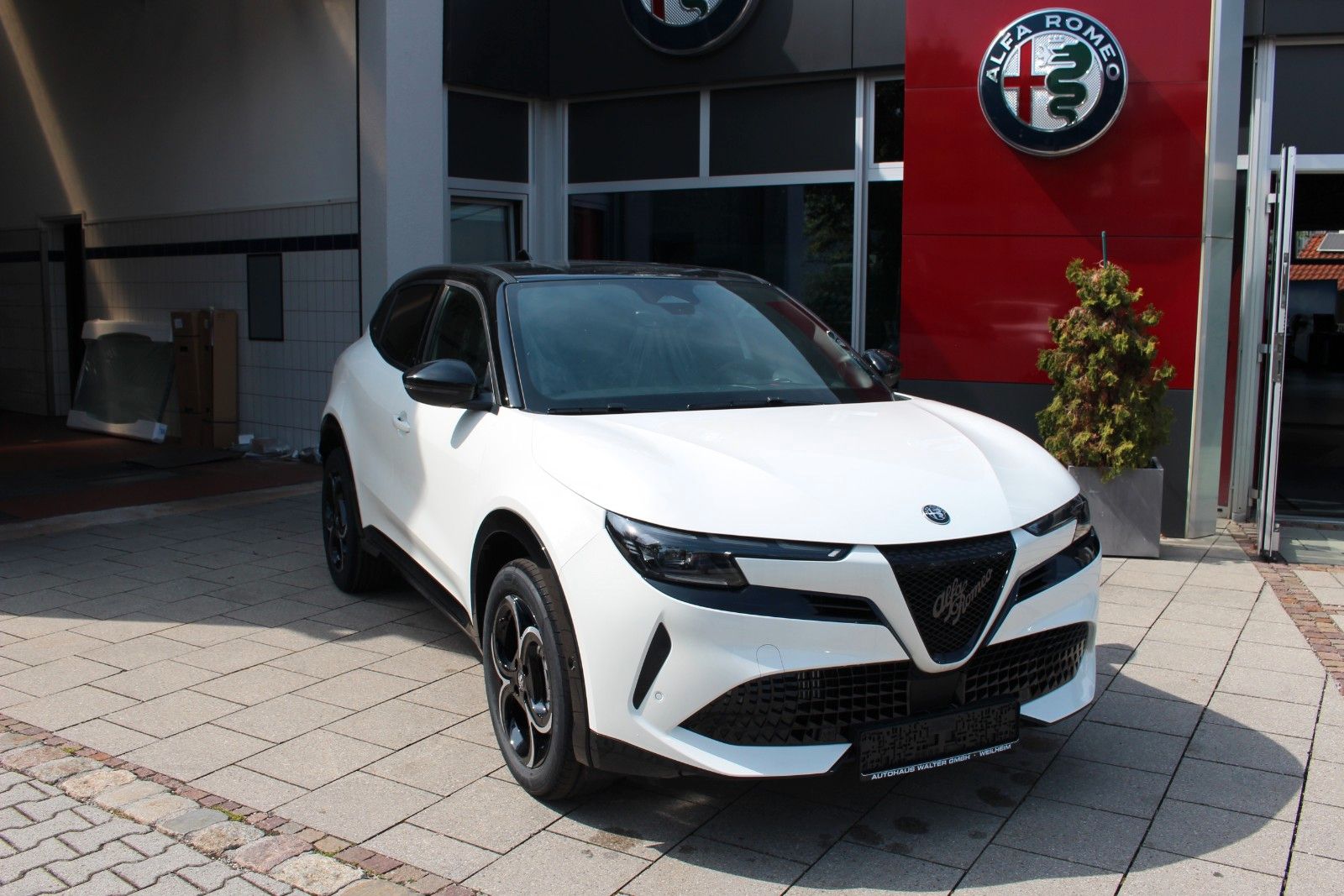 Alfa Romeo Junior - Bild 3