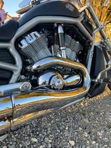 Harley-Davidson TOP +++Custom V-Rod VRSCAW Black matt+++T - HARLEY-DAVIDSON VRSCA