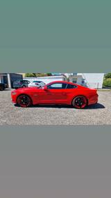 Ford Mustang 5.0 Ti-VCT V8 GT GT - Ford Mustang: Rot
