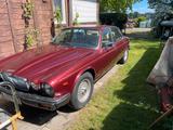 Jaguar XJ 12 Serie 3 H Nummer - Jaguar XJ12 von privat