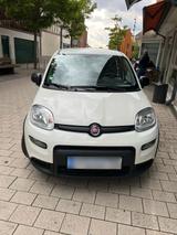 Fiat New Panda - Fiat New Panda aus 2023