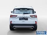 Ford Kuga Titanium NAVI^ RFK^ SSA^ KLIMA^ SHZ^ Klima - Ford: Ss