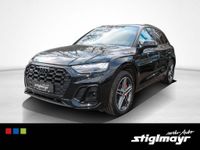 Audi SQ5 - Vorschau Bild 12