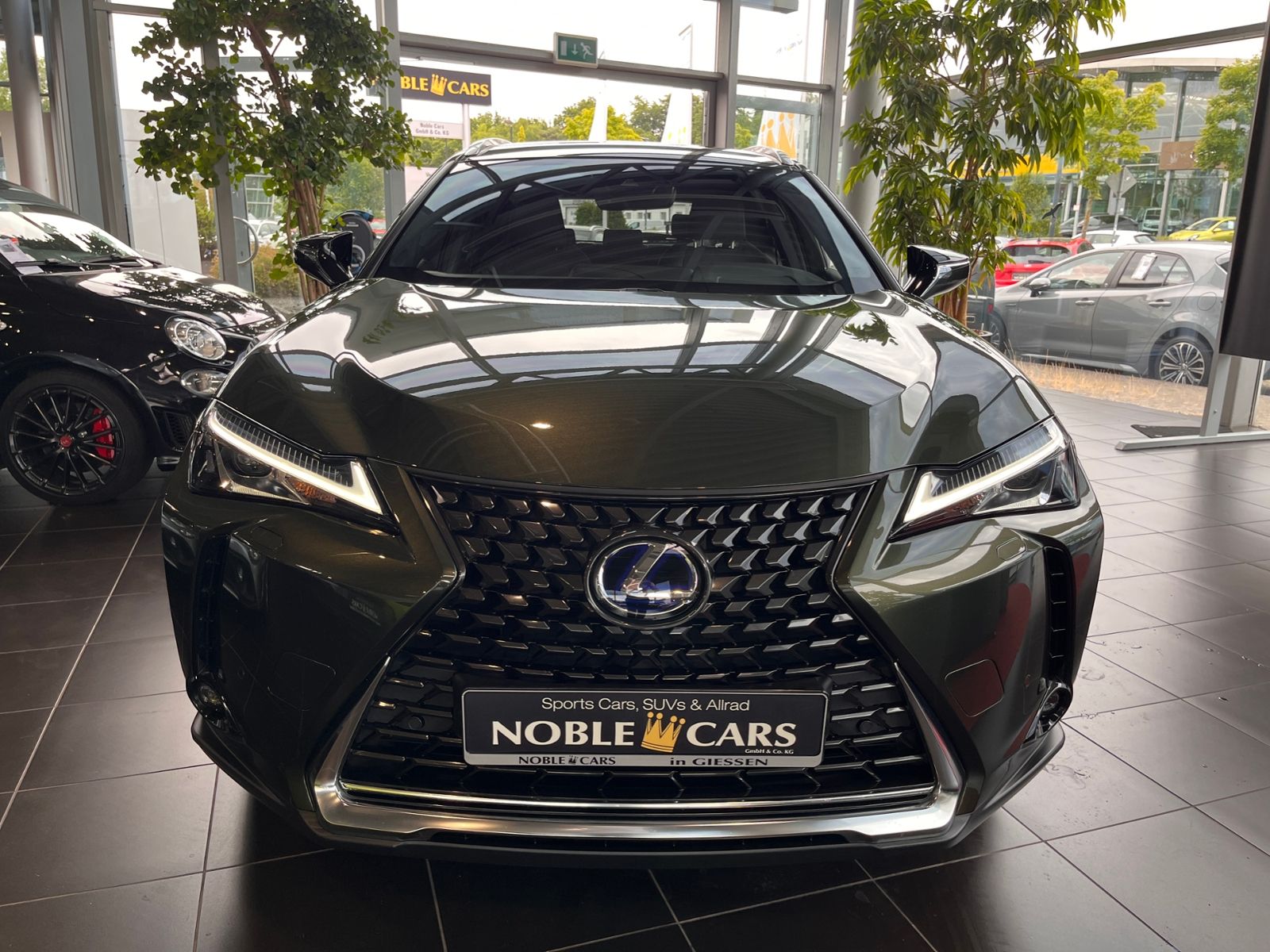 Fahrzeugabbildung Lexus UX 250 h Style Edition RFK Full Link LED AHK