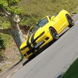 Chevrolet Camaro Cabrio 3.6 V6 Bumblebee Cabrio | 2014  - Chevrolet Camaro mit Schiebedach