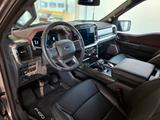 Ford F 150 - gebrauchte Ford F 150 aus dem Jahr 2024