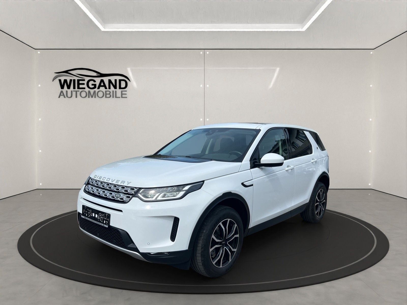Land-Rover Discovery - 1