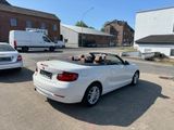 BMW 220 i Cabrio Luxury Line LEDER Navi PDC - : Cabrio, Luxury