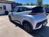 BYD DOLPHIN Dolphin Surf 65 kW Boost/Sitz-Hei/Kamera - BYD: Kleinwagen