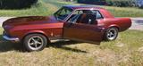 Ford Mustang Coupé - Ford Mustang aus 1968: Coupé
