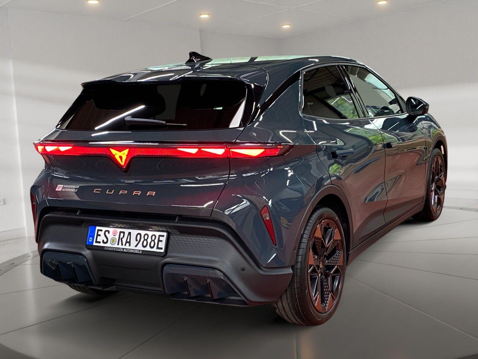 Cupra Raval Endurance 52 kWh LED/Assist/Kamera/DAB/uvm