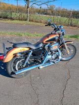 Harley-Davidson Sportster 1200 L 105th Anniversary  ,  1710 KM - HARLEY-DAVIDSON 2008 SPORTSTER 1200