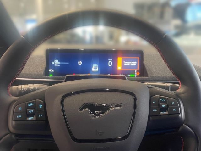 Ford Mustang Mach-E - Bild 8