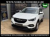 Opel Grandland X Business 1.2 TURBO *AHK*KAM*LED*SPUR - Opel Grandland (X) in Oldenburg