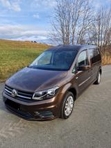 Volkswagen Caddy Maxi - TDI  7 Sitzer - Volkswagen Caddy Maxi Kombi Gebrauchtwagen