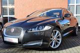 Jaguar XF S 3.0 V6 Diesel Leder Bi-Xenon E.Dach - Jaguar mit Diesel-Antrieb: 3.0