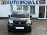 Fiat Panda Pop - Fiat Panda: Schwarz