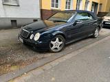 Mercedes-Benz Mercedes Clk cabrio 430 AMG  Paket ab Werk 55 - Mercedes-Benz CLK 430: Cabrio