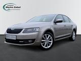 Skoda Octavia 1.4 TSI Elegance Bi-Xenon Sitzheizung - Skoda Octavia Elegance mit Benzin-Antrieb