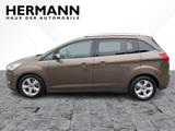 Ford Grand C-MAX 1.0 EcoBoost Titanium *NAVI*SHZ*PDC - Ford Grand C-Max aus 2016