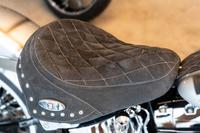 Harley-Davidson FLSTN Softail Deluxe Chicano Custom