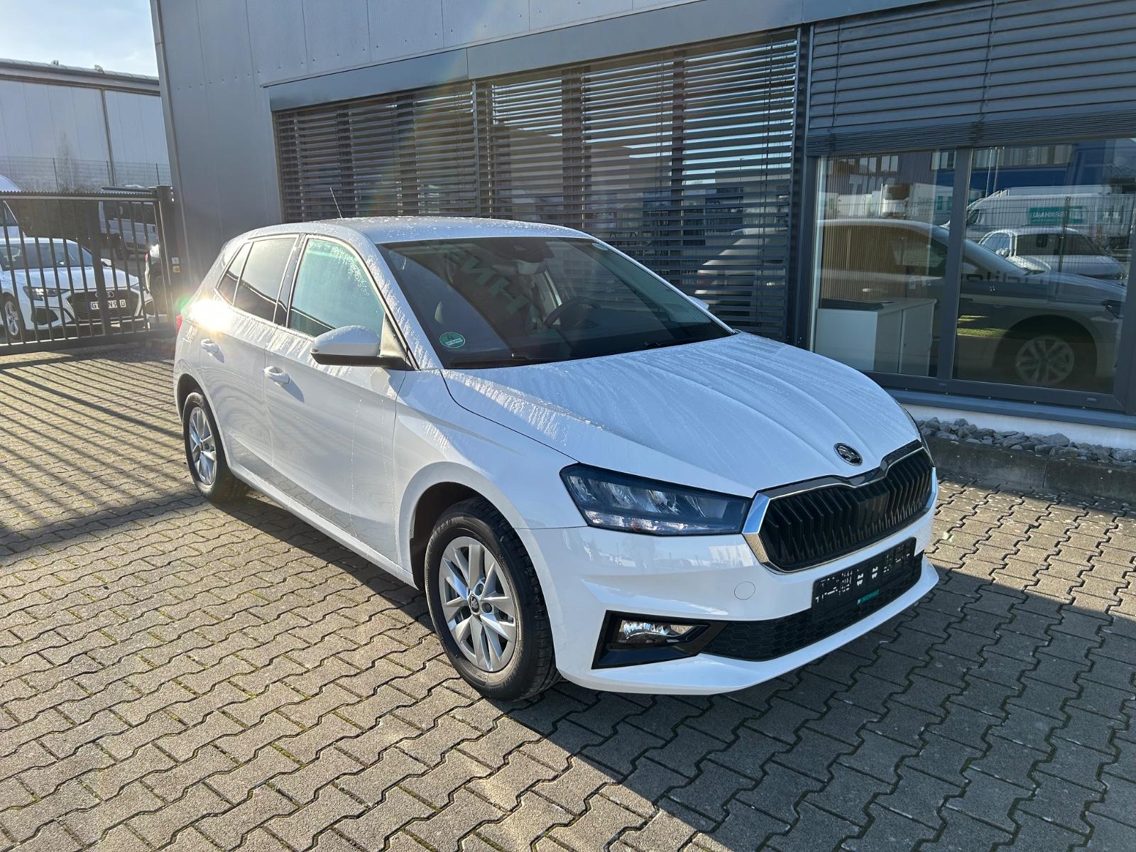 Skoda Fabia Selection 1,0 DSG Tempom. Klimaautom.