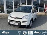Fiat Panda 1.0 Mild Hybrid - Fiat Panda Tageszulassungen