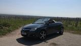 Opel Tigra 1.8 Sport Sport - rote Opel Tigra