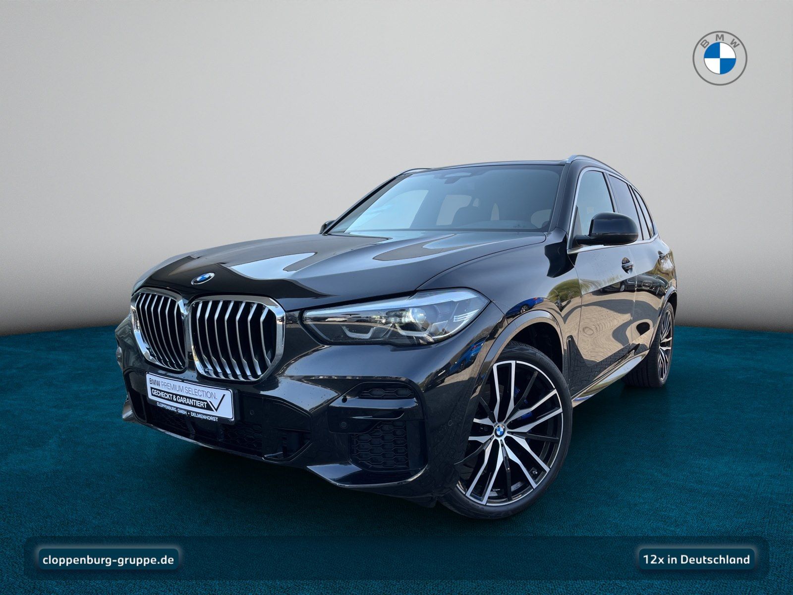 BMW X5 xDrive30d AHK+StHz+Navi+ACC+SiKlima+SHZ+KeyGO