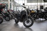 Kawasaki Eliminator 500 ABS,4 JAHRE GAR.,sofort lieferbar - KAWASAKI ELIMINATOR 500