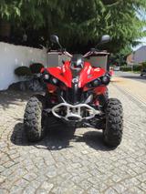 Can-Am Renegade 500 - Offers matching your search criteria
