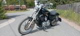Harley-Davidson XL 1200 c Sportster - HARLEY-DAVIDSON 2004 1200 SPORTSTER