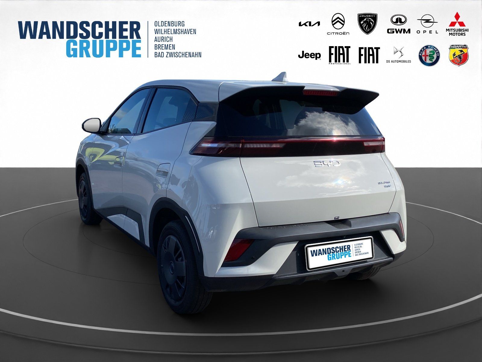 BYD DOLPHIN SURF