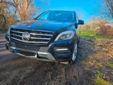 Mercedes-Benz ML 350 BlueTEC 4MATIC - - Mercedes-Benz ML 350 in Dortmund