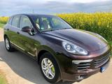 Porsche Cayenne S E-Hybrid S*Panorama*Org.WallBox - Porsche Cayenne in Aachen