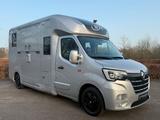 Renault Master 2020 STX Pferdewagen Horsetruck Pferde - Renault Master: Kleinbus