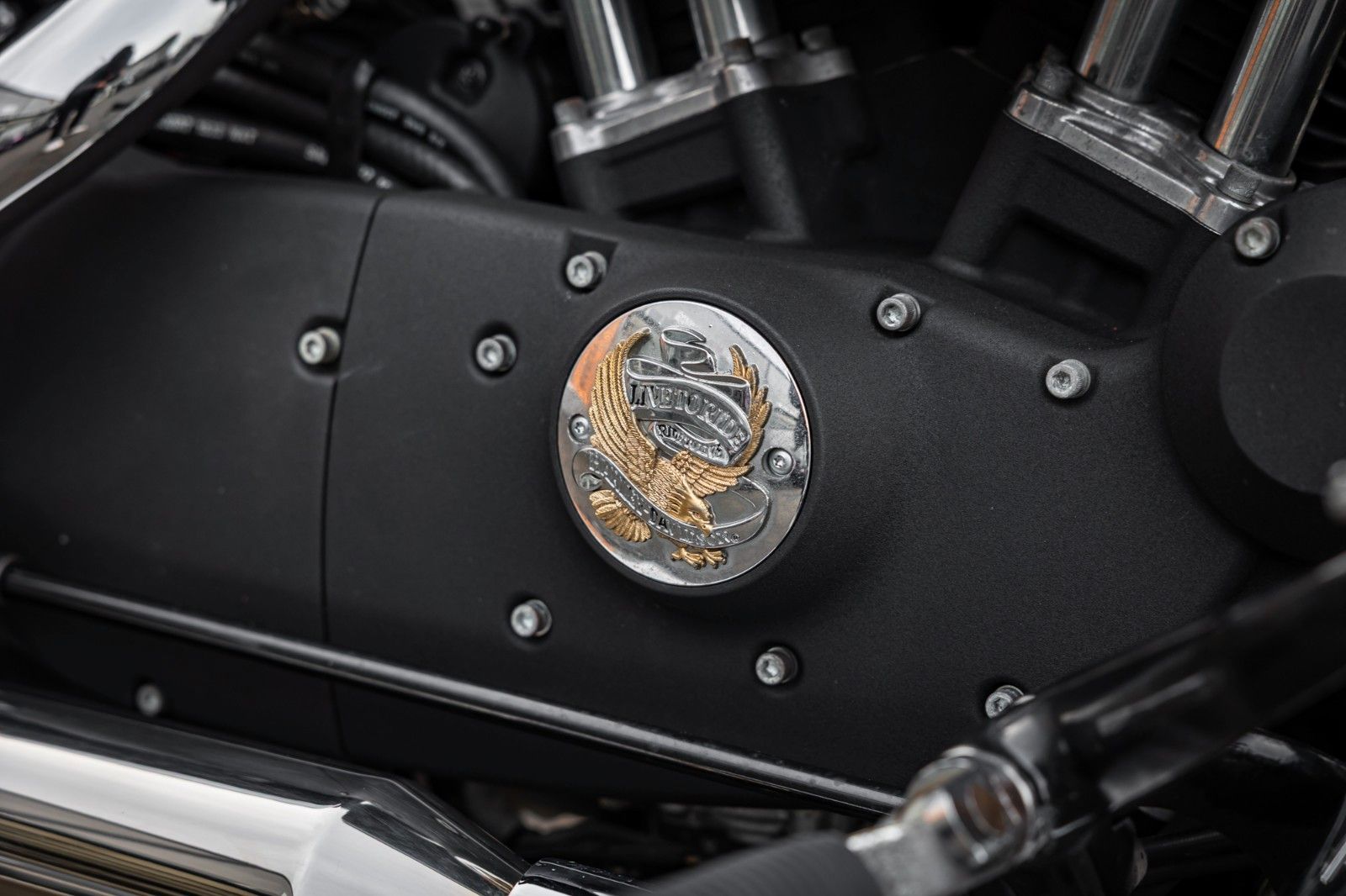 Fahrzeugabbildung Harley-Davidson XL1200X SPORTSTER FORTY-EIGHT - Miller Auspuff -