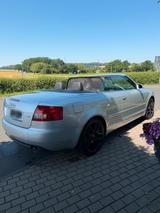 Audi AUDI A4 Cabriolet 2.4l 6-Zylinder - Audi: Zylinder
