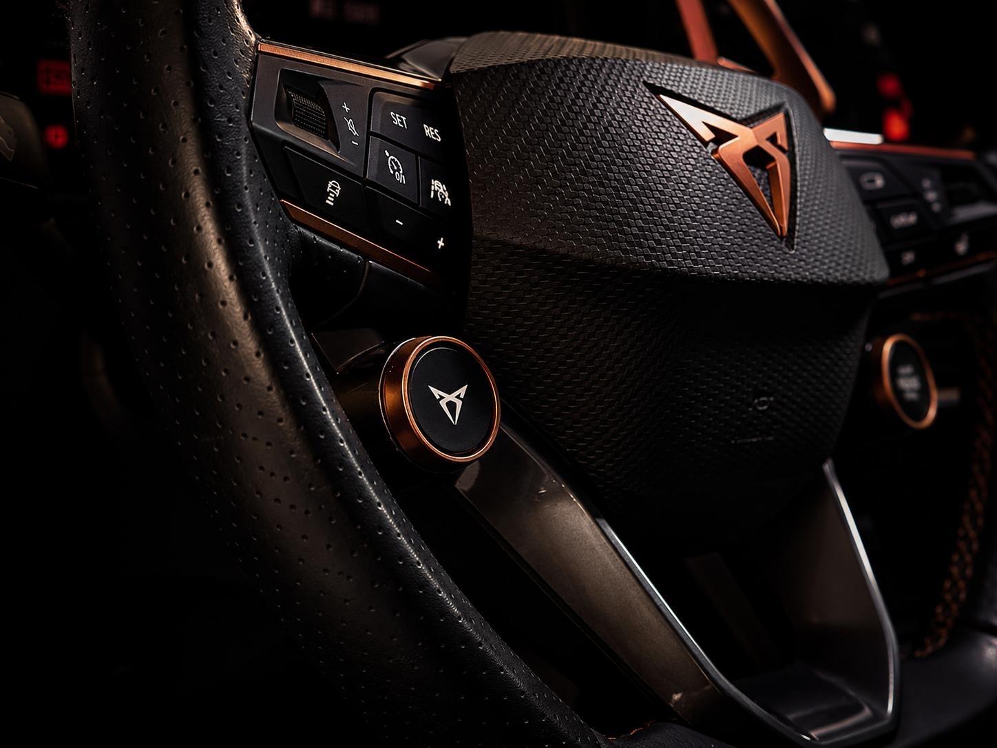 Cupra Formentor VZ 4Drive DSG BEATS MEMORY BREMBO, миниатюра 11