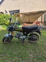 Skyteam Dax 125 TÜV NEU  - SKYTEAM MOTORRAD