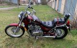 Suzuki Intruder VS 800 GL - SUZUKI VS 800 INTRUDER