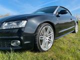 Audi A5 Cabriolet 3,0 TDI Quattro - Audi Cabriolet: Leder