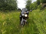 Suzuki GSX750 F - Angebote entsprechen deinen Suchkriterien