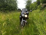 Suzuki GSX750 F - Offers matching your search criteria