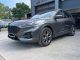 Ford Kuga 2.0 EcoBlue 4x4 Aut. ST-LINE X - Ford Kuga aus 2022
