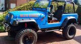 Jeep Wrangler YJ , Raptor , 4.0 - gebrauchte Jeep Wrangler aus dem Jahr 1992
