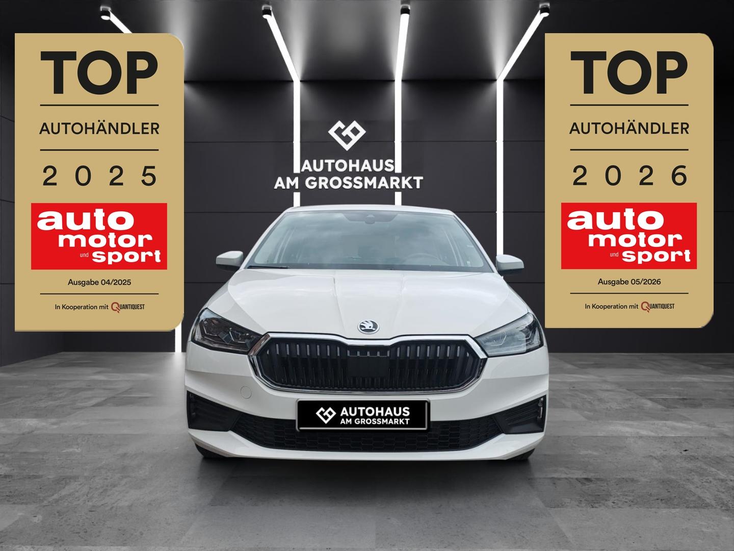 Skoda Fabia Tour Tempomat, Klima, Parksensoren
