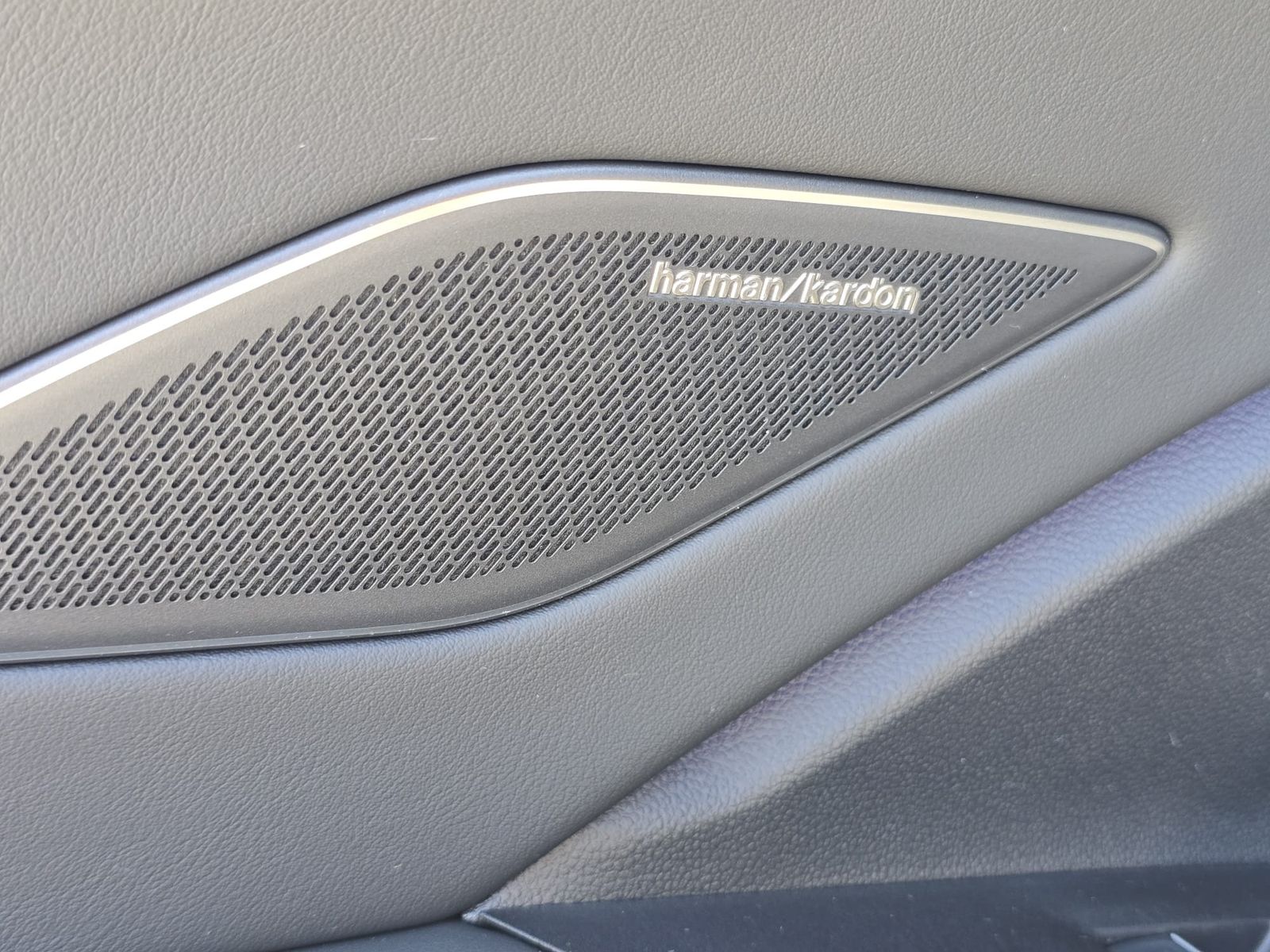 Fahrzeugabbildung Volkswagen Tiguan 2.0 TDI 4M R-Line PANO*H&K*AHK*MATRIX*20"