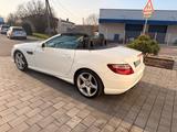 Mercedes-Benz SLK 250 CDI Automatik, AMG-Paket - Mercedes-Benz SLK 250: Cabrio